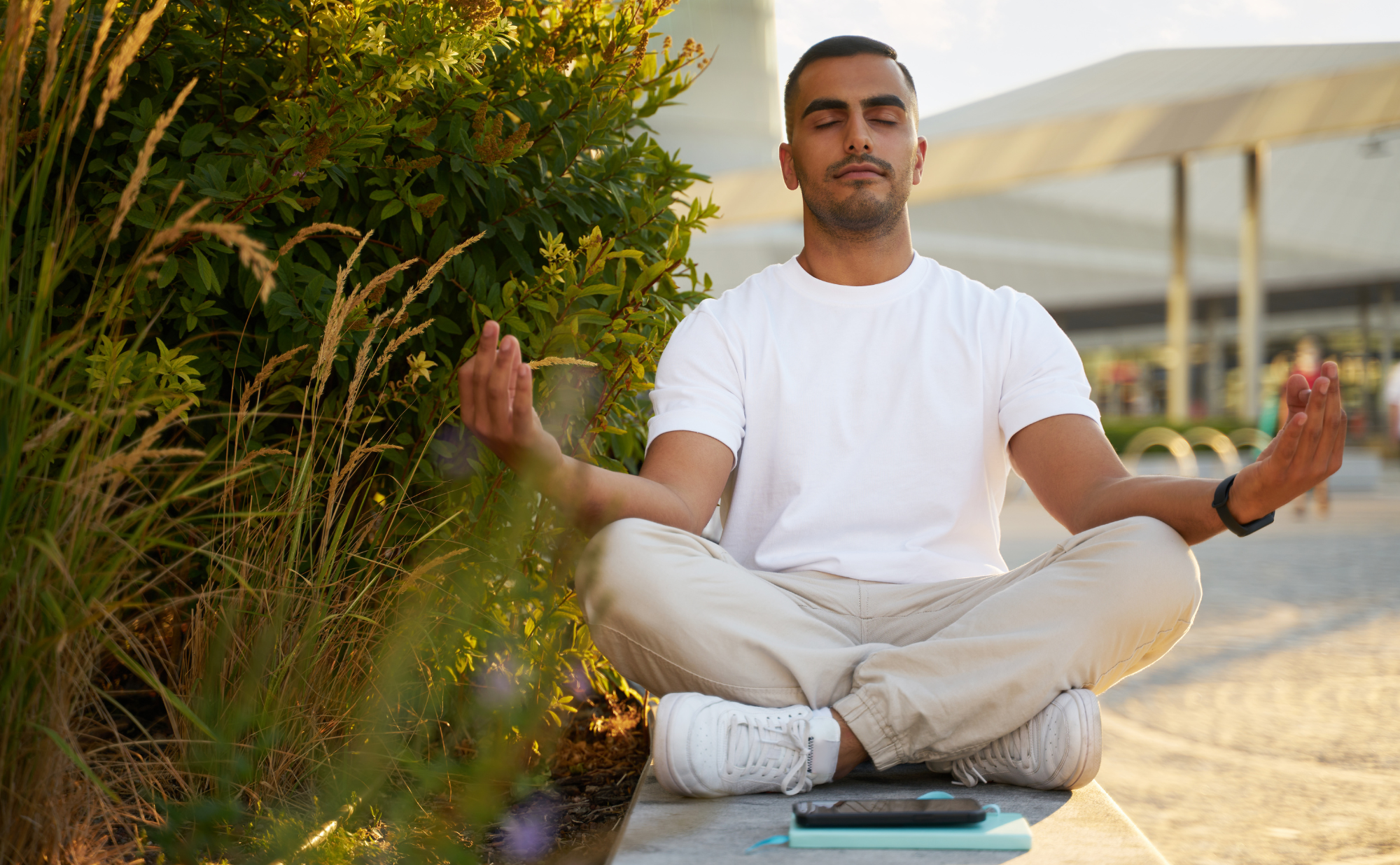 Meditation and Motivation