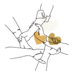 New Project (1)